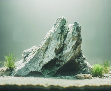 Transform your aquarium with natural reef structures! Explore my live rock aquascaping method for creating dynamic, beautiful environments. Enhance tank care with these tips! #How #Create #Natural #Reef #Structures #Aquascaping #AquariumDesign