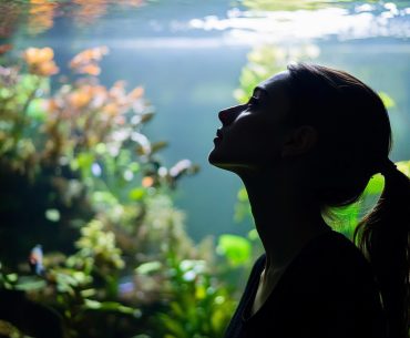 Discover how aquascaping can boost your mental health. Start with low-maintenance plants, create a serene layout, and maintain water quality. Embrace tranquility with every tank design! #Aquascaping #MentalHealth #AquariumDesign #TankCare #TranquilSpaces