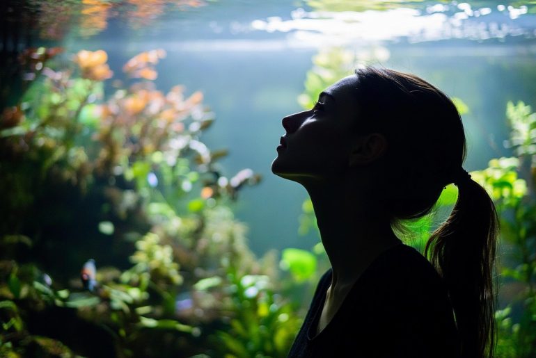 Discover how aquascaping can boost your mental health. Start with low-maintenance plants, create a serene layout, and maintain water quality. Embrace tranquility with every tank design! #Aquascaping #MentalHealth #AquariumDesign #TankCare #TranquilSpaces