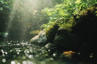 Discover the secrets to a stunning 50cm tank transformation! Learn essential aquascaping tips, tank care strategies, and trending designs for competition-quality results. #50cm #Tank #Transformation #Aquascaping #AquariumDesign