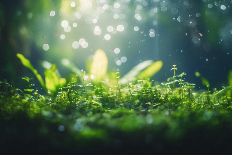 Unlock the secrets to budget aquascaping! Learn how to create breathtaking aquariums for less than $100 with innovative designs and low-cost materials. #Budget #Aquascaping #Secrets #Create #FishTanks