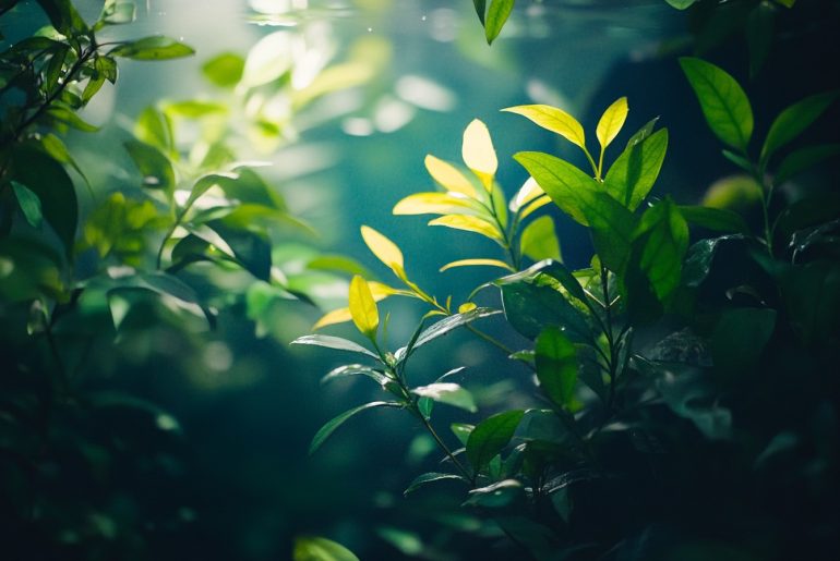 Transform your planted tank with innovative lighting setups! Discover essential tips for optimal growth, color vibrancy, and fish health. Elevate your aquatic design game today! #Lighting #Aquascaping #PlantedTanks #TankCare #AquariumDesign